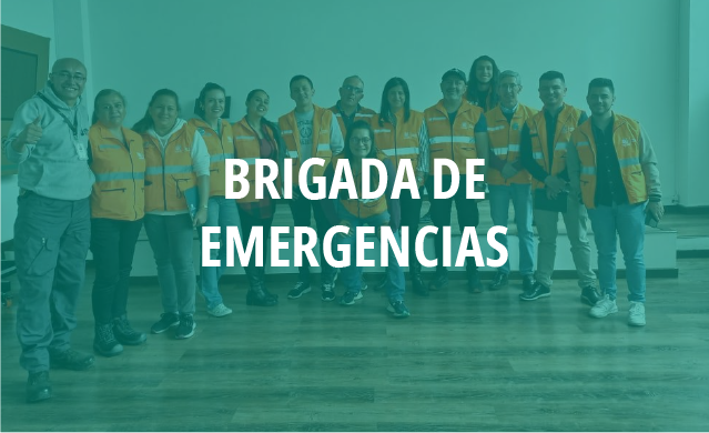 Brigada