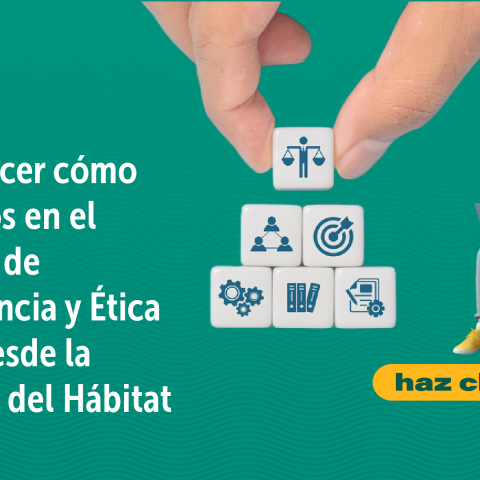 Imagen de referencia